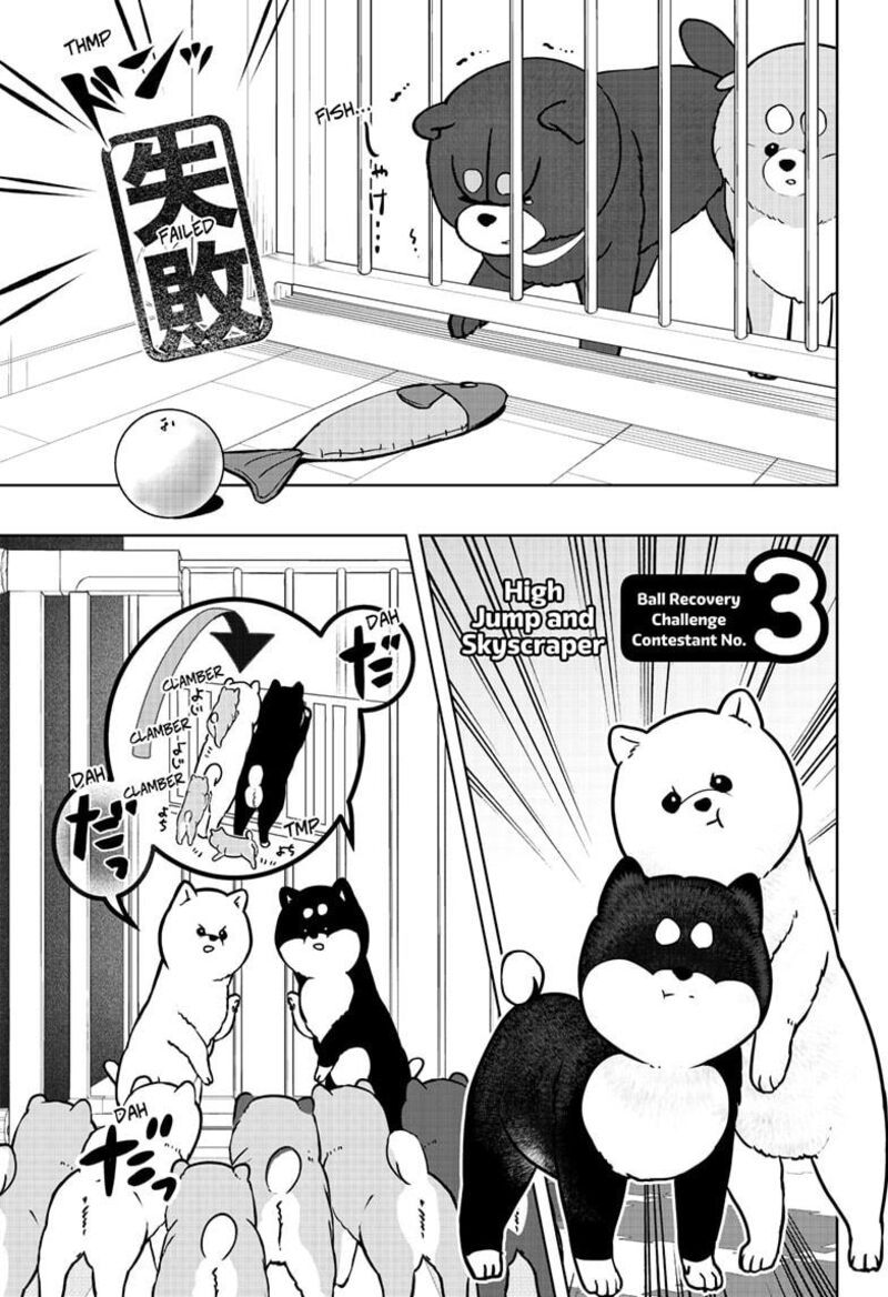 Shiba Tsuki Bukken 32 9