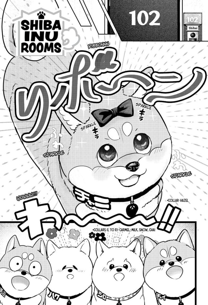 Shiba Tsuki Bukken 33 1