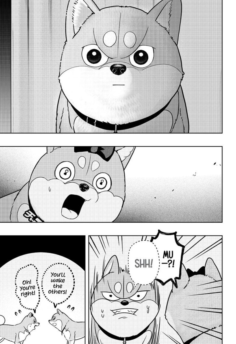 Shiba Tsuki Bukken 33 21