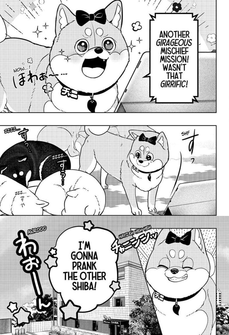 Shiba Tsuki Bukken 33 5
