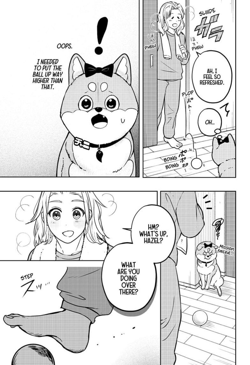 Shiba Tsuki Bukken 33 9