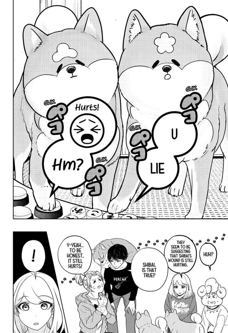 Shiba Tsuki Bukken 35 20