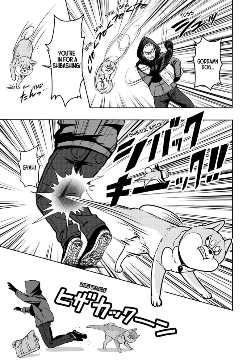 Shiba Tsuki Bukken 37 25