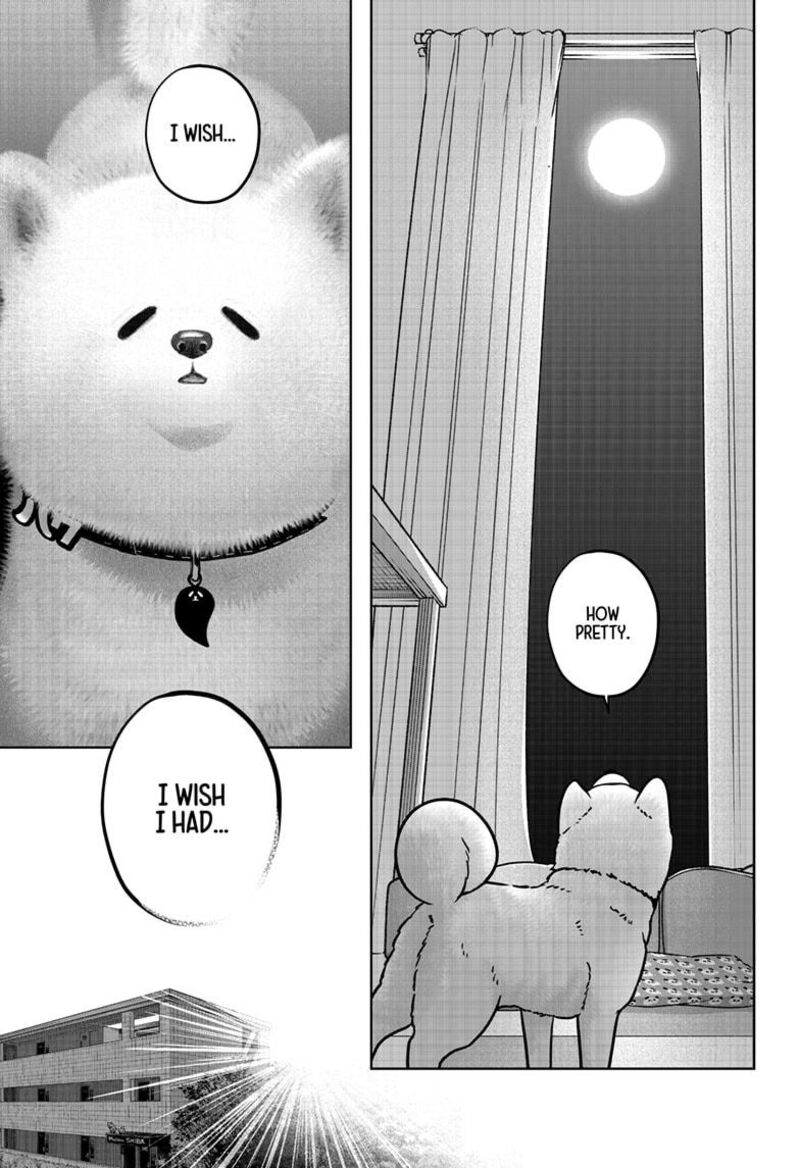 Shiba Tsuki Bukken 39 7