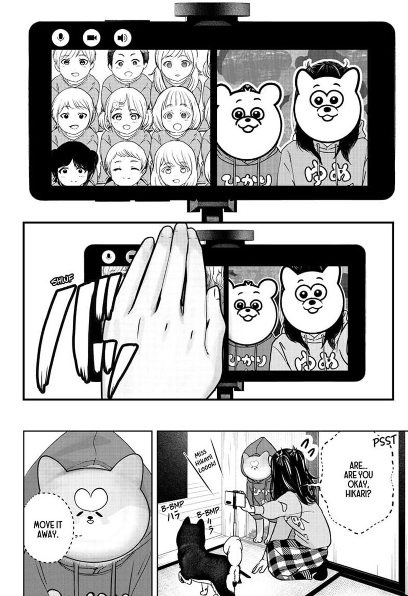 Shiba Tsuki Bukken 40 20