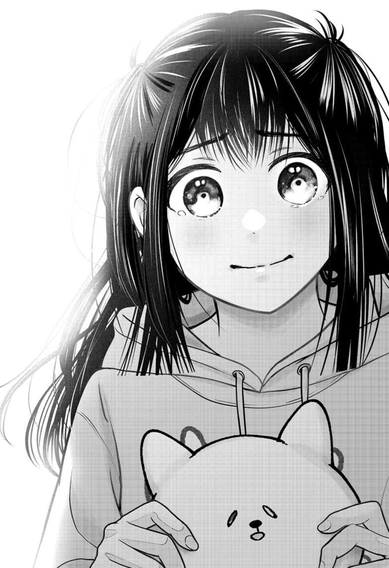 Shiba Tsuki Bukken 40 30