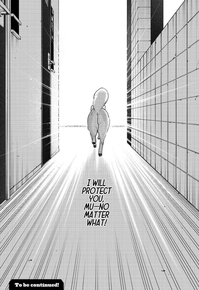 Shiba Tsuki Bukken 44 35