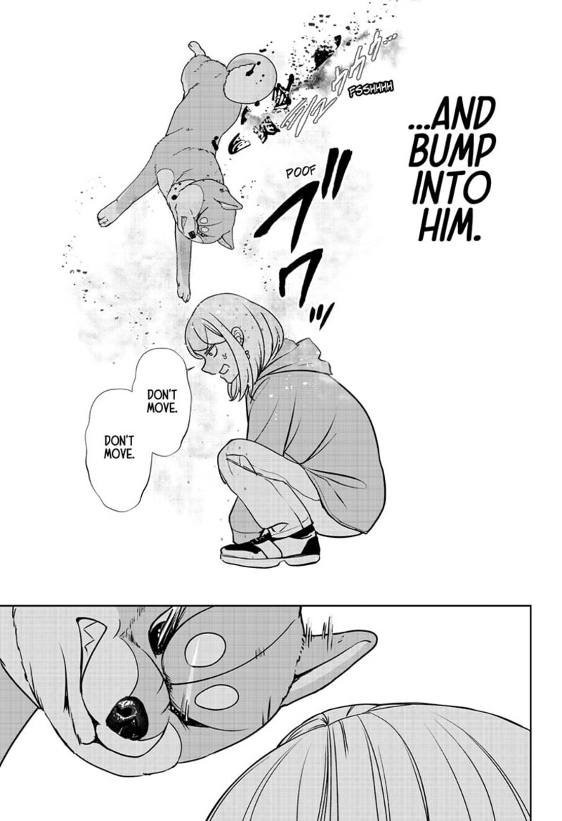 Shiba Tsuki Bukken 45 24