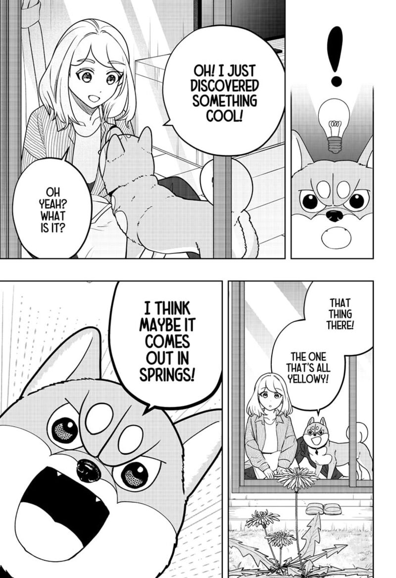 Shiba Tsuki Bukken 49 3