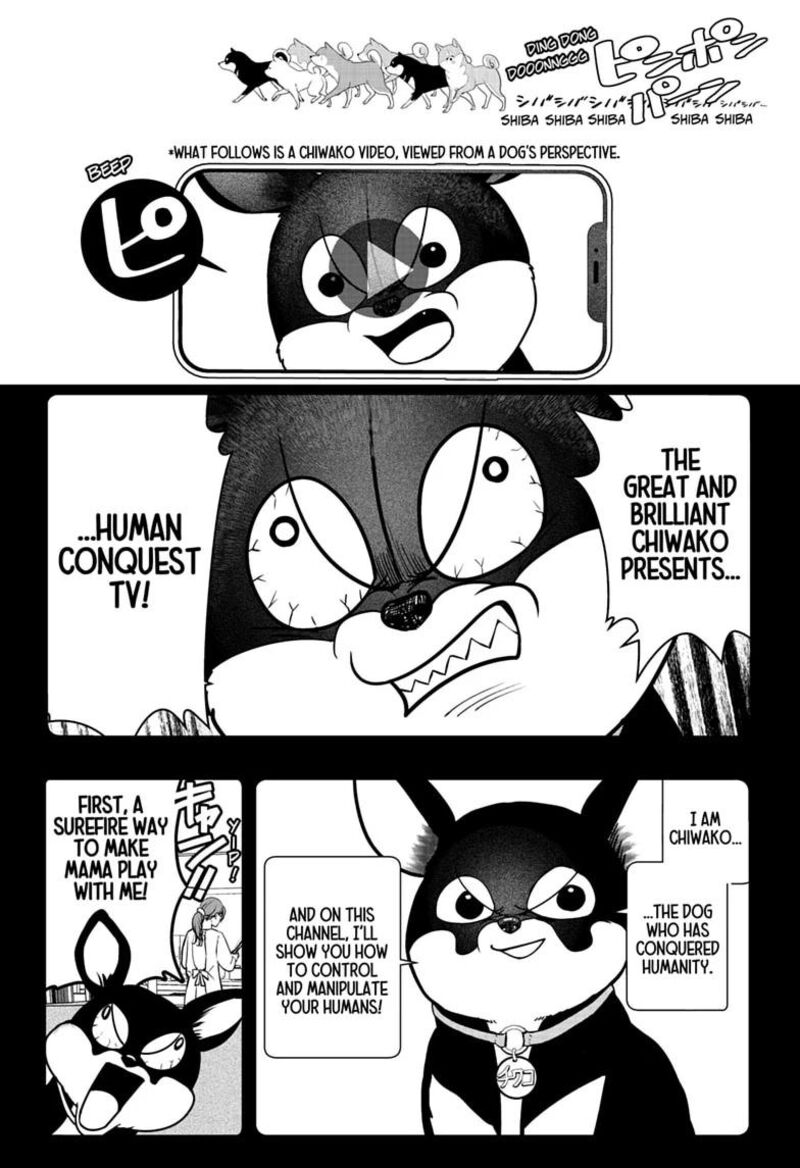 Shiba Tsuki Bukken 52 16