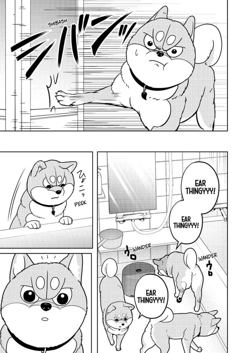 Shiba Tsuki Bukken 63 13