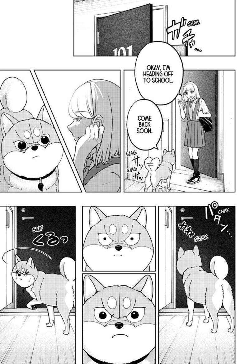 Shiba Tsuki Bukken 63 5