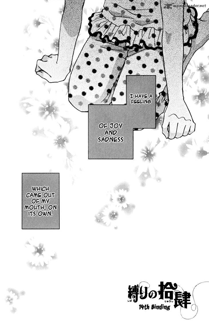 Shibariya Komachi 14 2