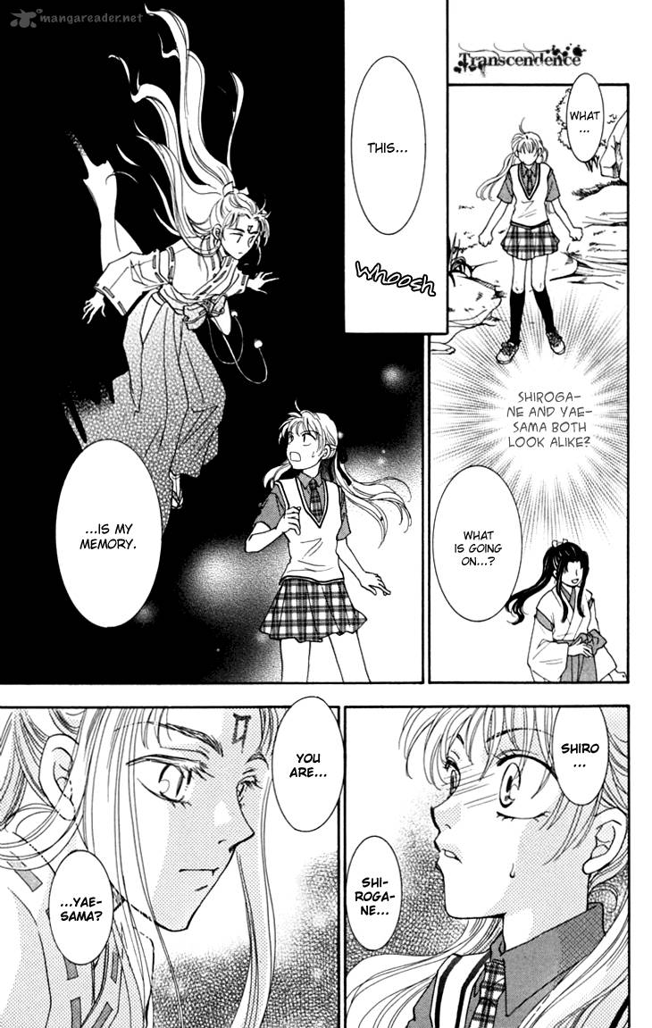 Shibariya Komachi 16 46
