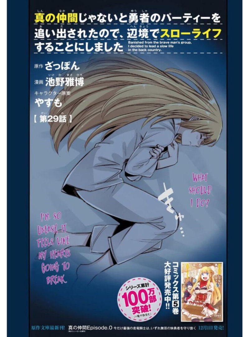 Shin No Nakama Janai To Yuusha No Party Wo Oidasareta Node 29 4