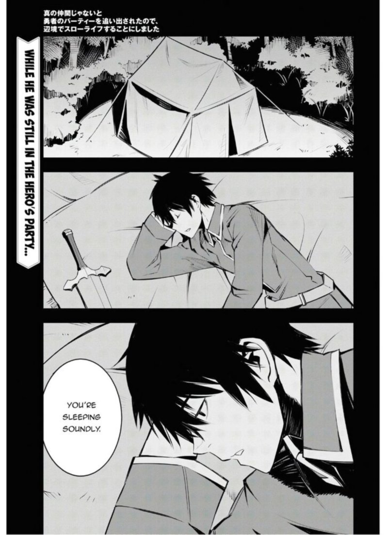 Shin No Nakama Janai To Yuusha No Party Wo Oidasareta Node 31 1