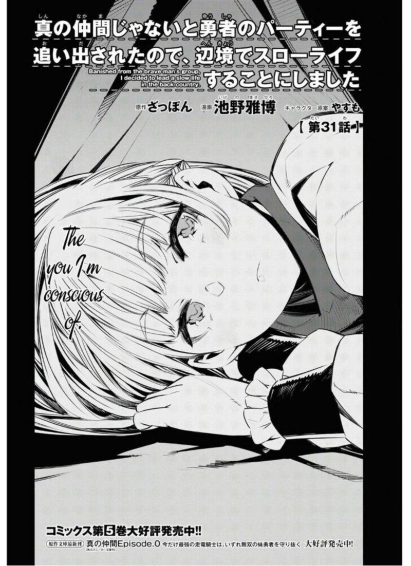 Shin No Nakama Janai To Yuusha No Party Wo Oidasareta Node 31 2