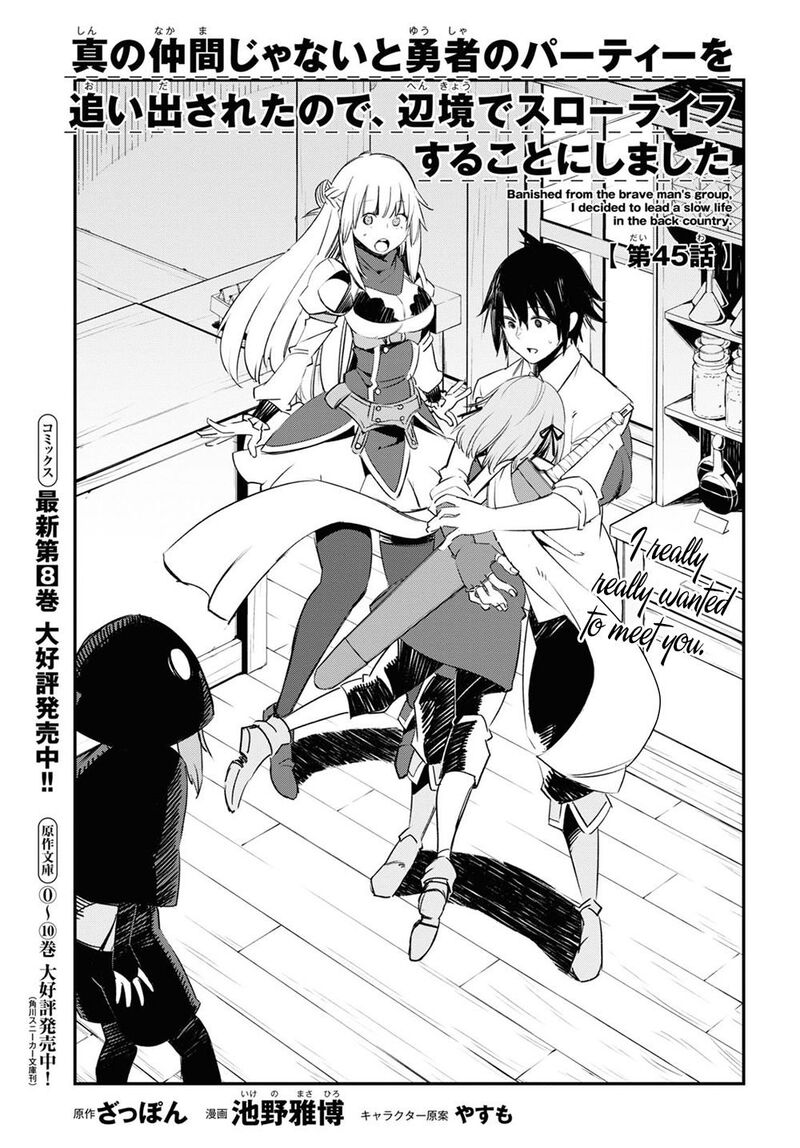 Shin No Nakama Janai To Yuusha No Party Wo Oidasareta Node 45 1