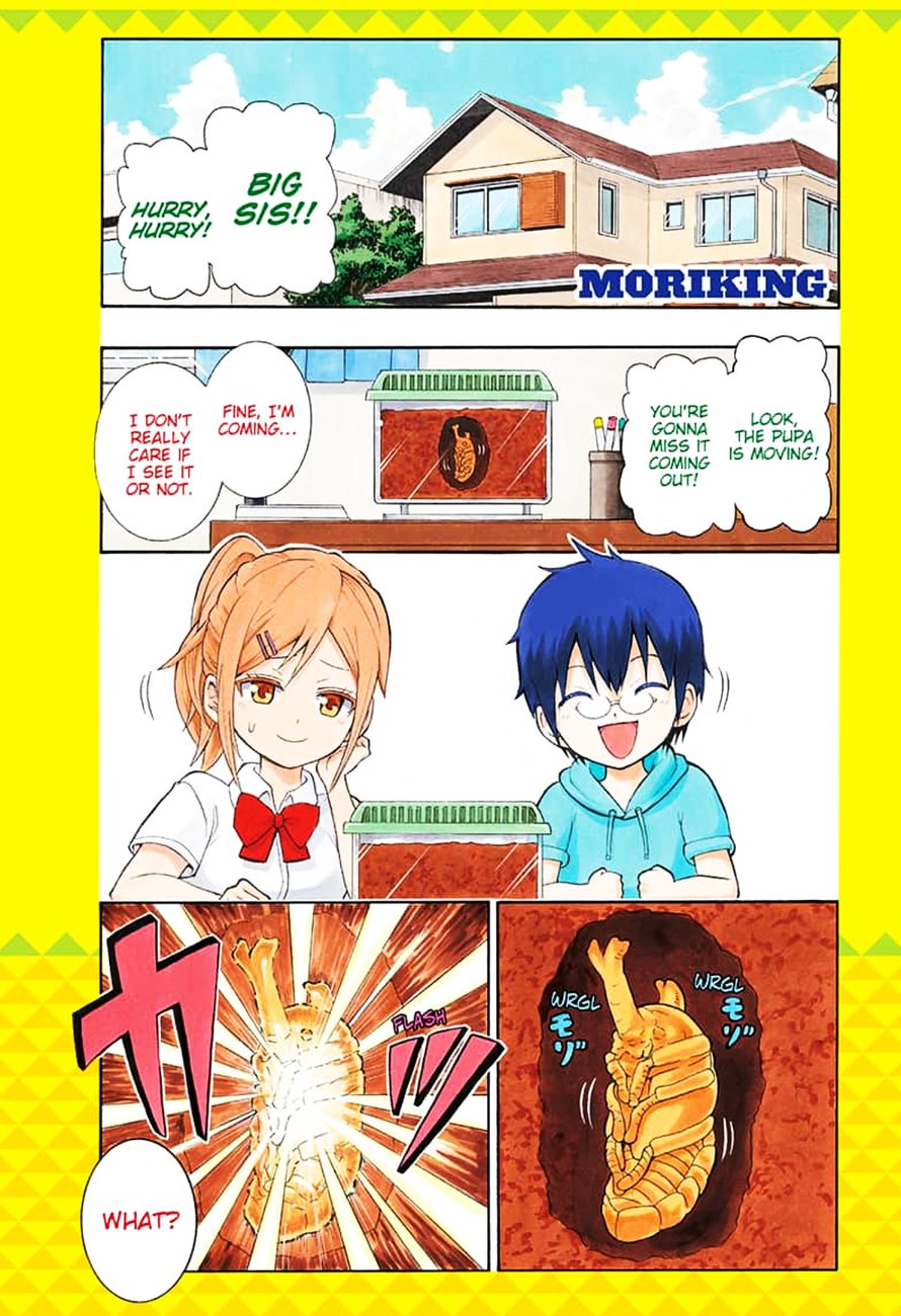 Shinrin Ousha Mori King 1 1