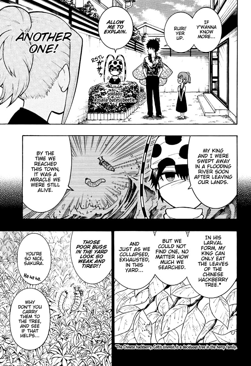 Shinrin Ousha Mori King 10 7