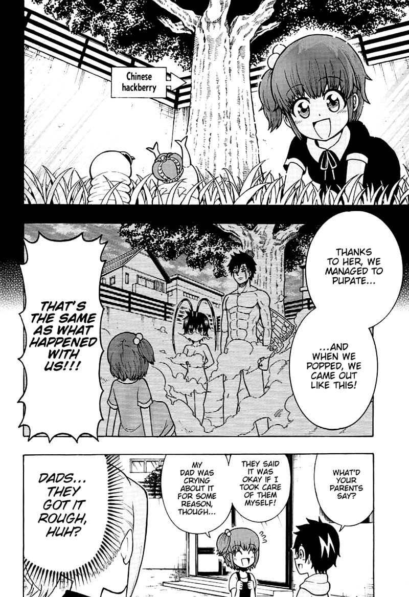 Shinrin Ousha Mori King 10 8