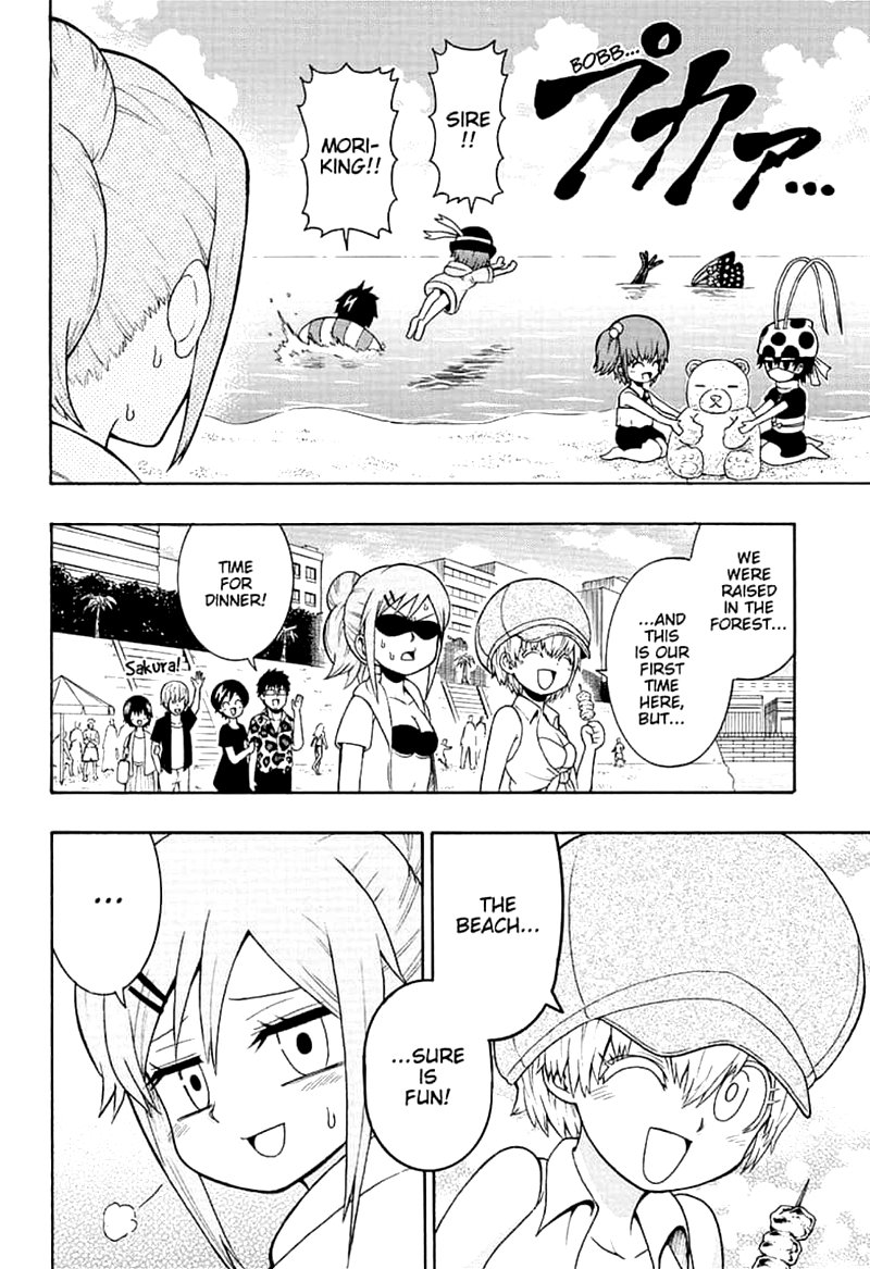 Shinrin Ousha Mori King 12 15
