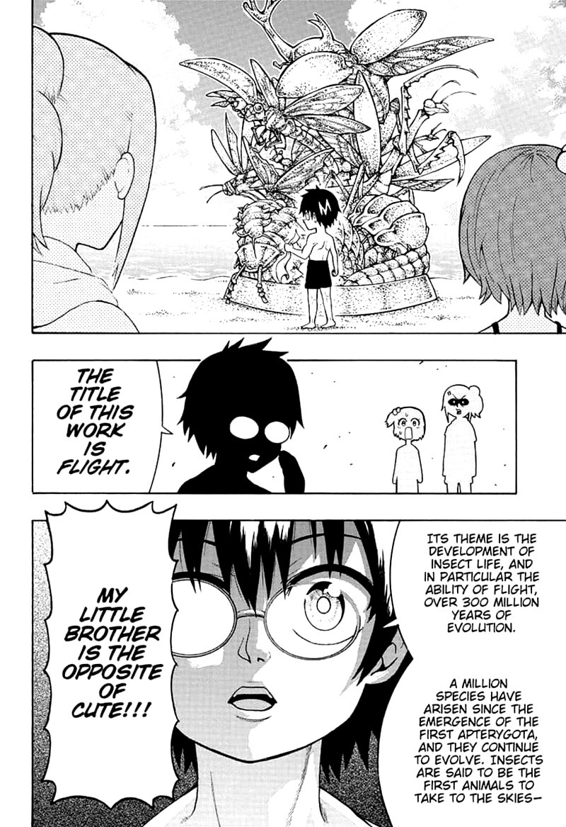 Shinrin Ousha Mori King 12 7