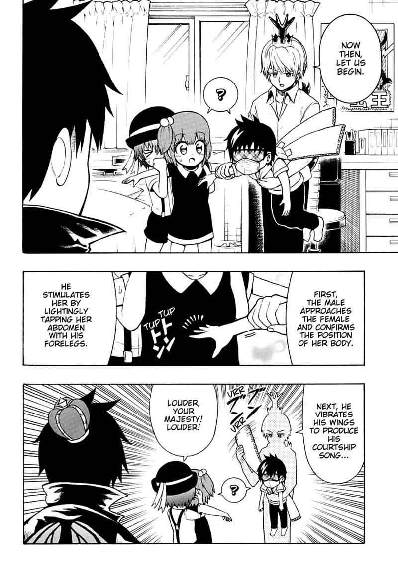 Shinrin Ousha Mori King 14 8
