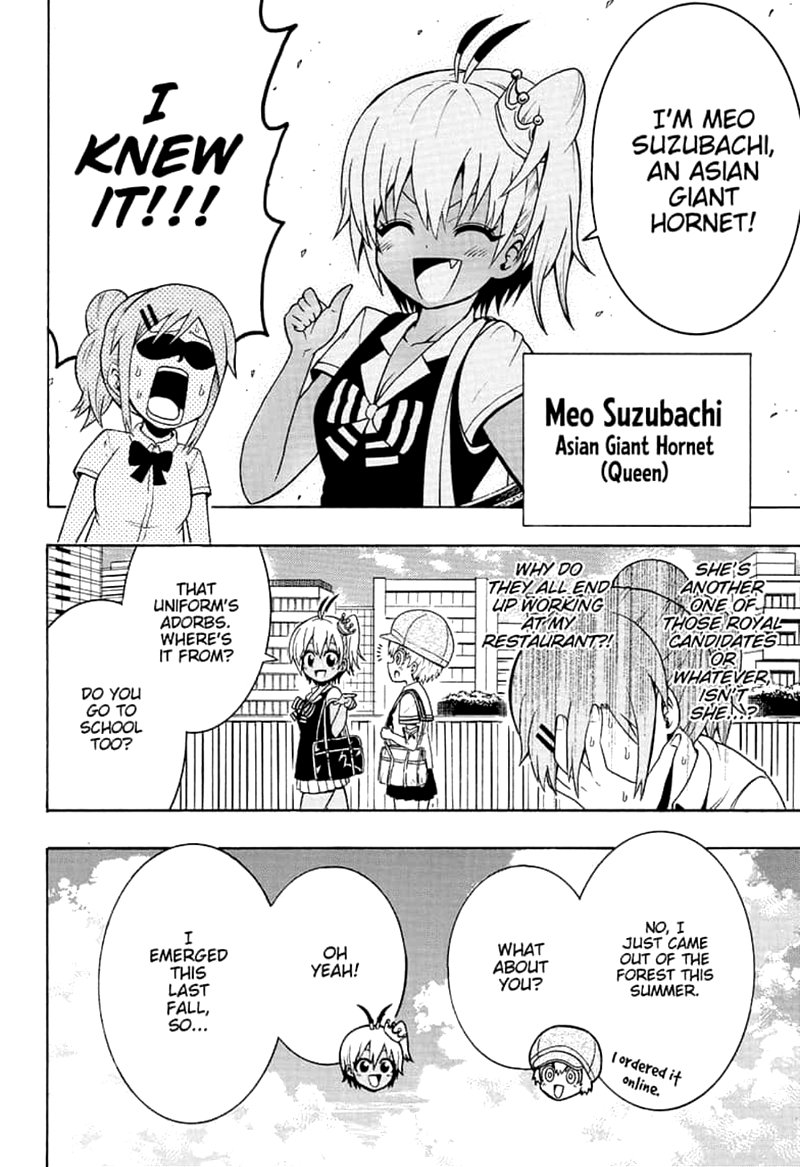 Shinrin Ousha Mori King 15 4
