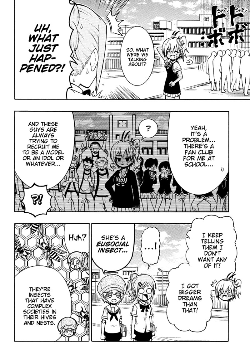 Shinrin Ousha Mori King 15 8