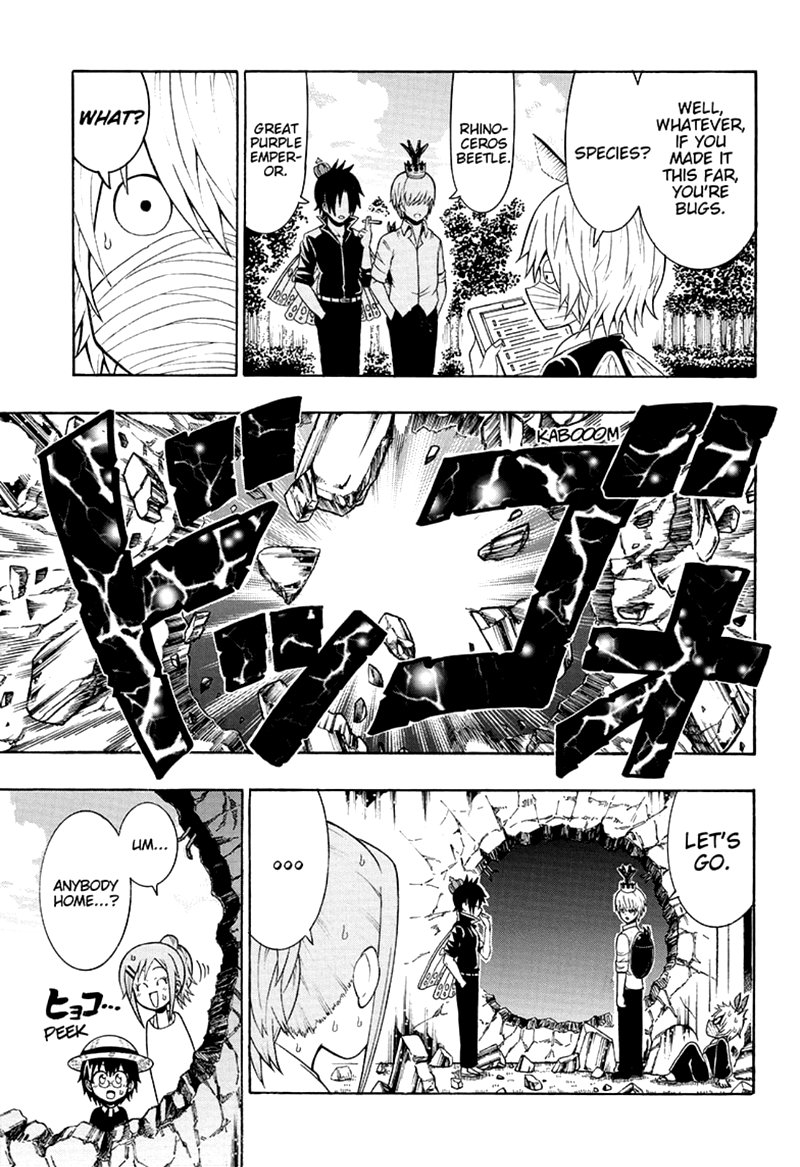 Shinrin Ousha Mori King 23 11