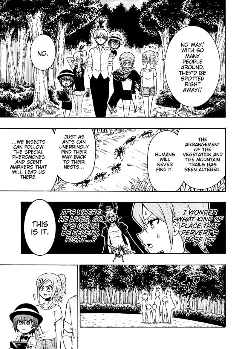 Shinrin Ousha Mori King 23 9