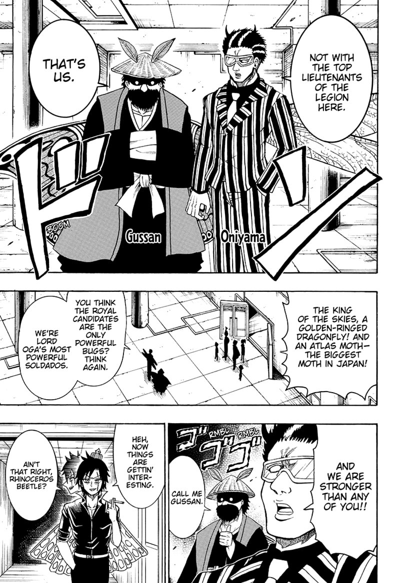Shinrin Ousha Mori King 24 5