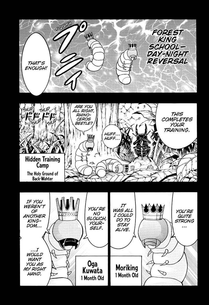 Shinrin Ousha Mori King 25 11