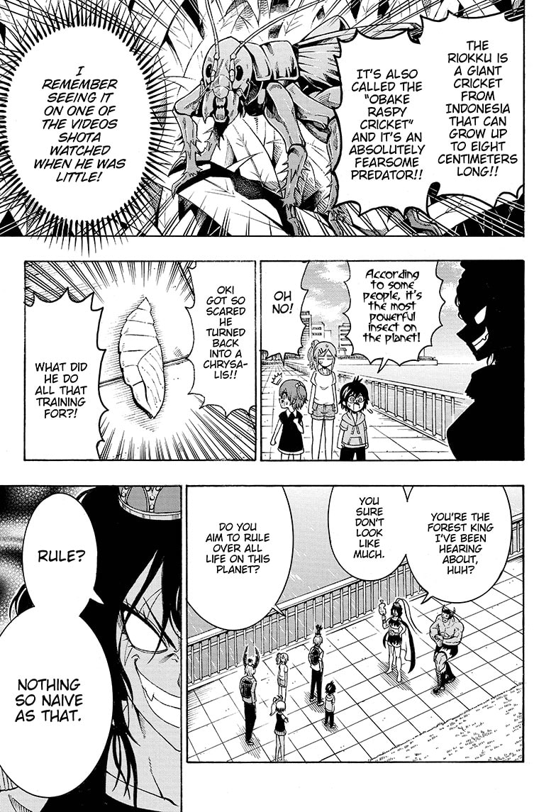 Shinrin Ousha Mori King 29 3