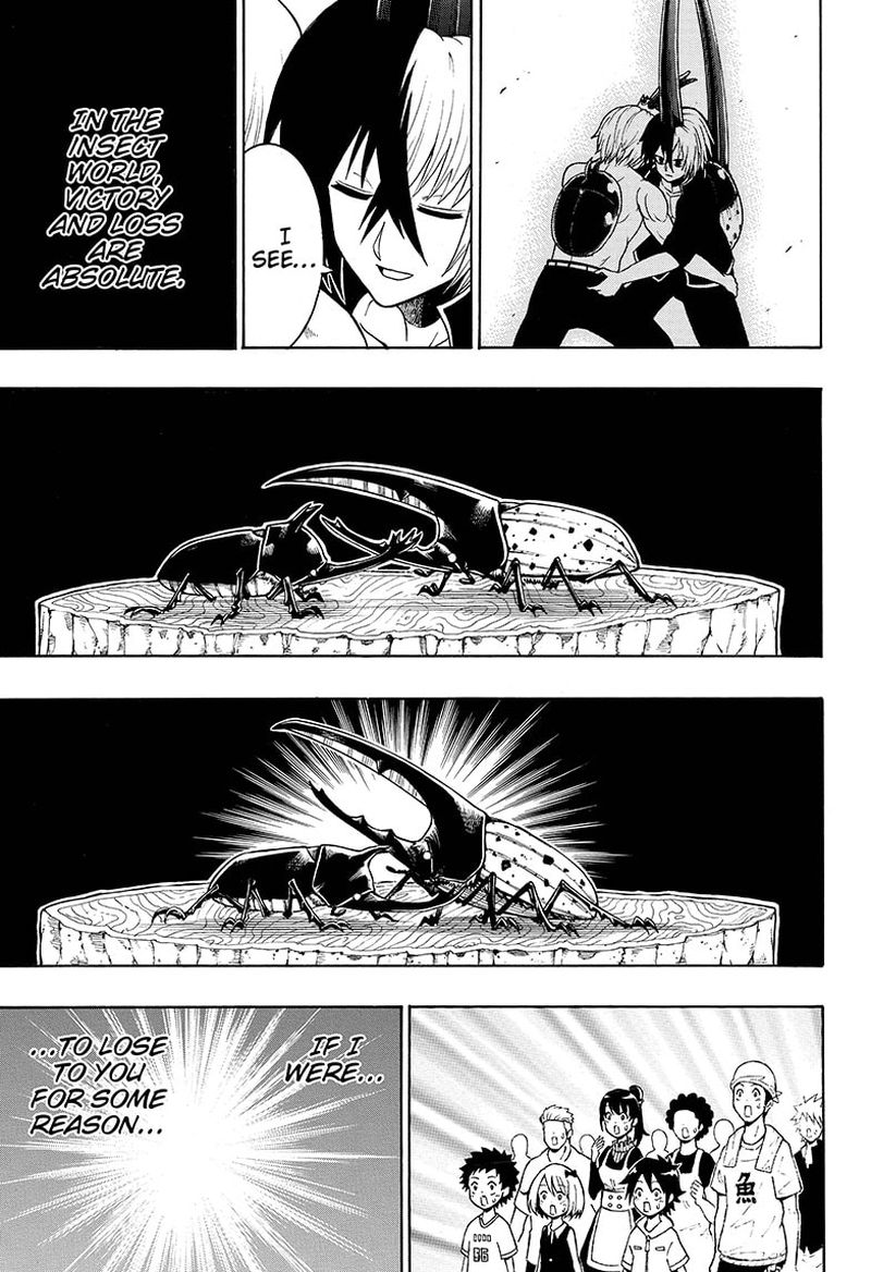 Shinrin Ousha Mori King 33 13