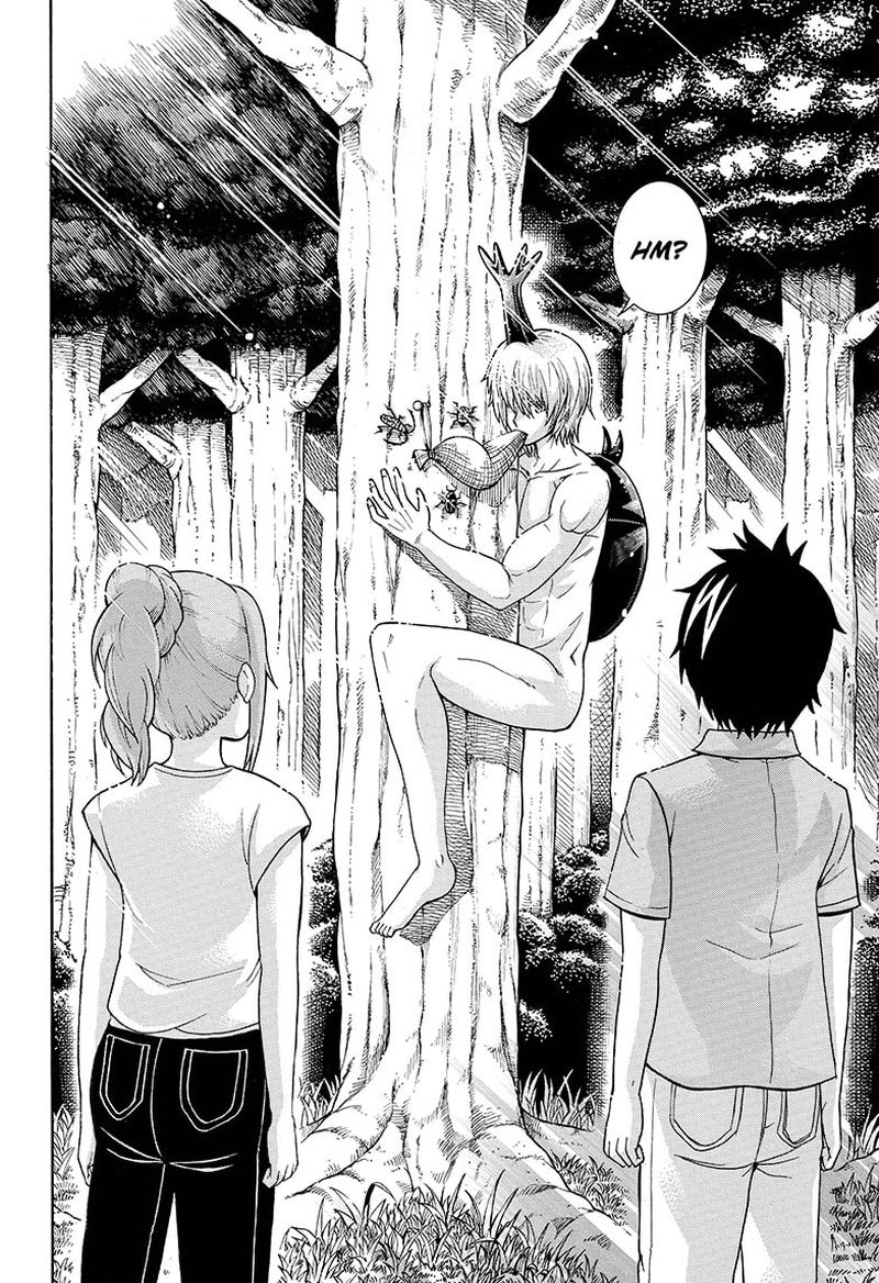 Shinrin Ousha Mori King 35 14