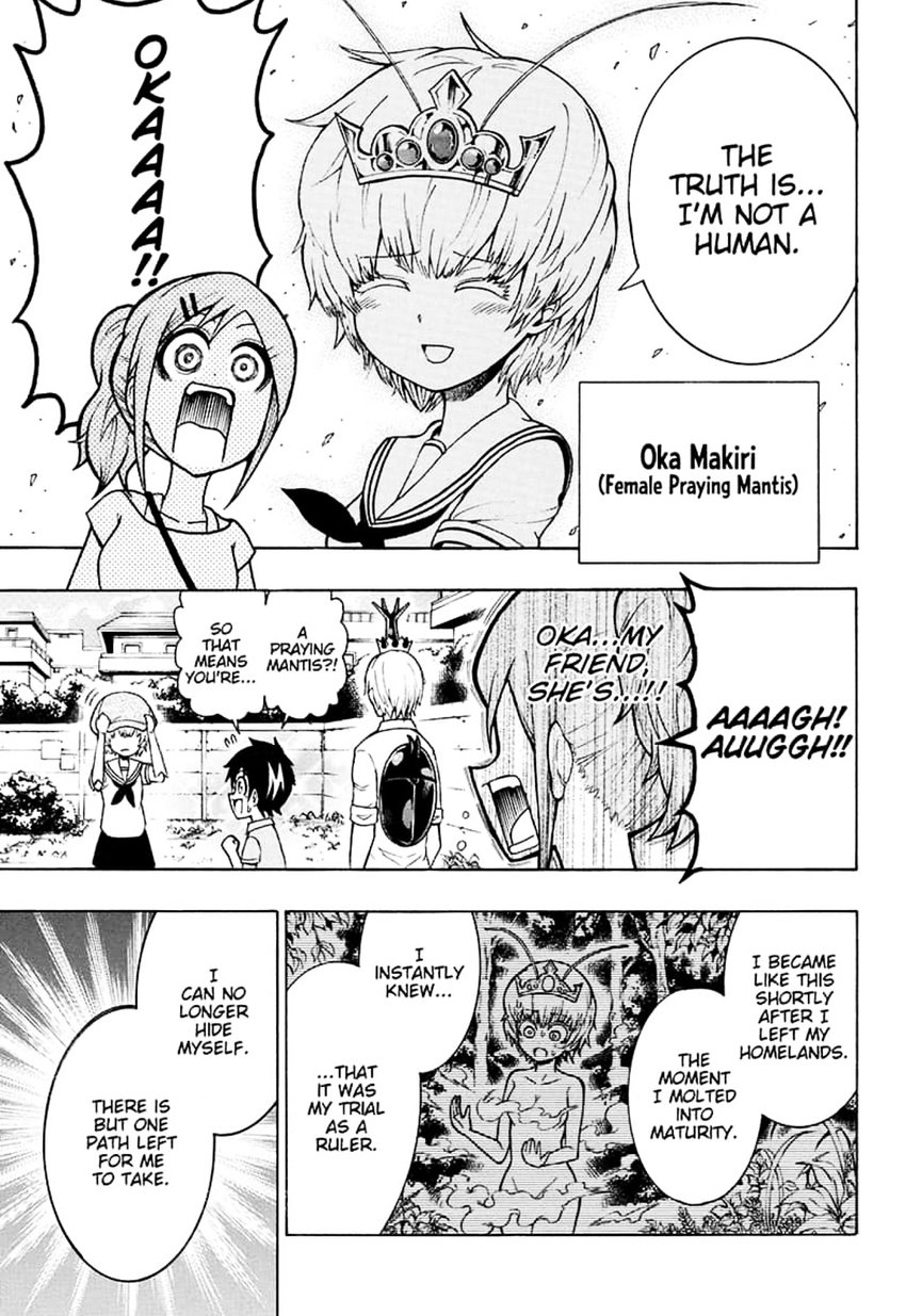 Shinrin Ousha Mori King 4 9