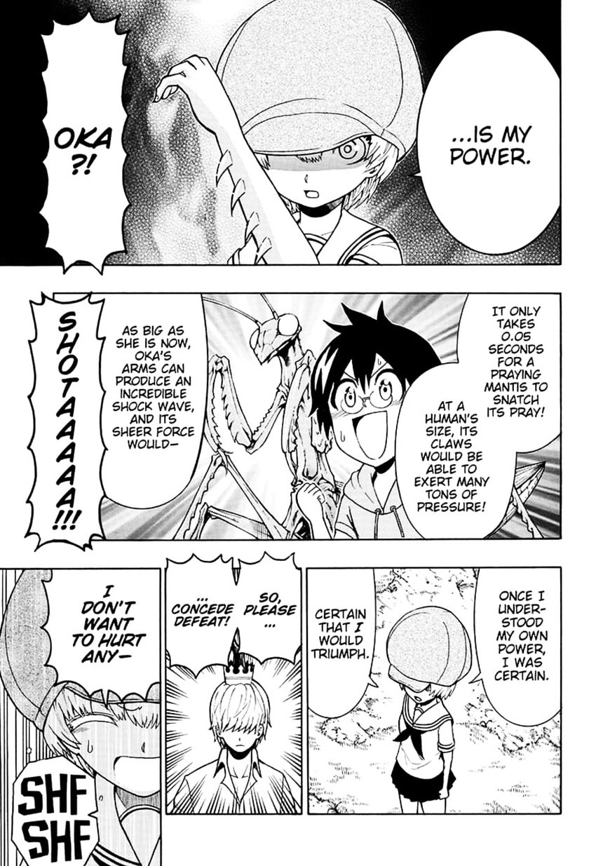 Shinrin Ousha Mori King 5 5
