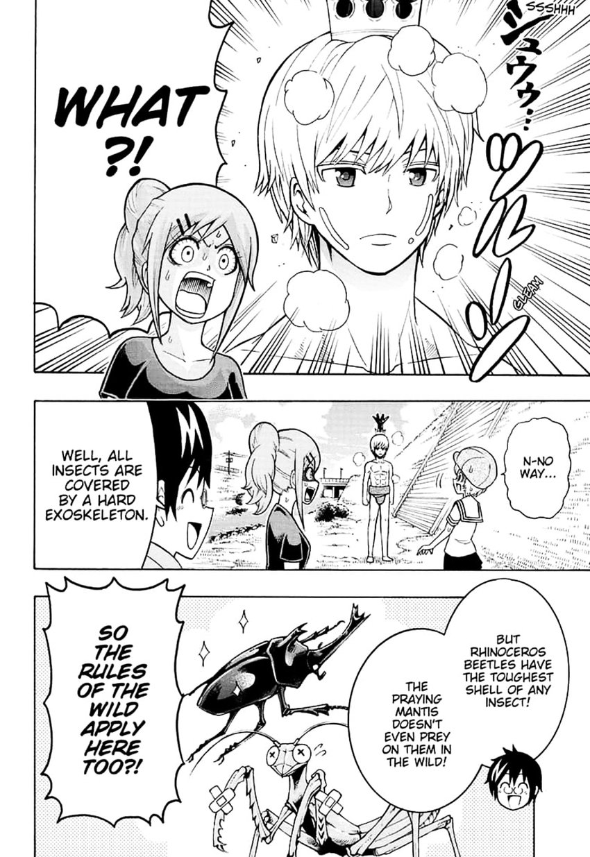 Shinrin Ousha Mori King 5 8