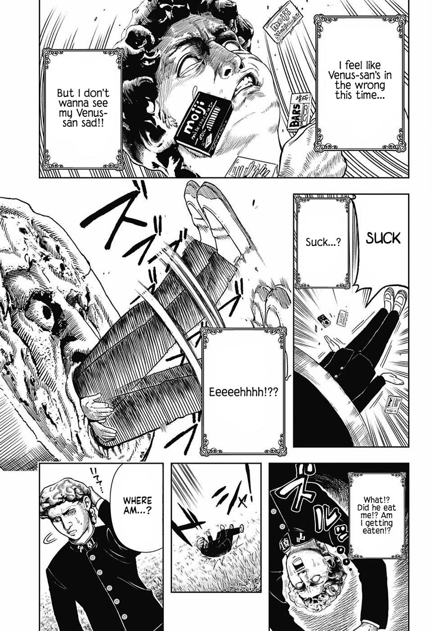Shishunki Renaissance Davide Kun 5 9