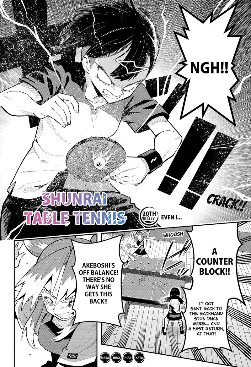 Shunrai Table Tennis 20 2