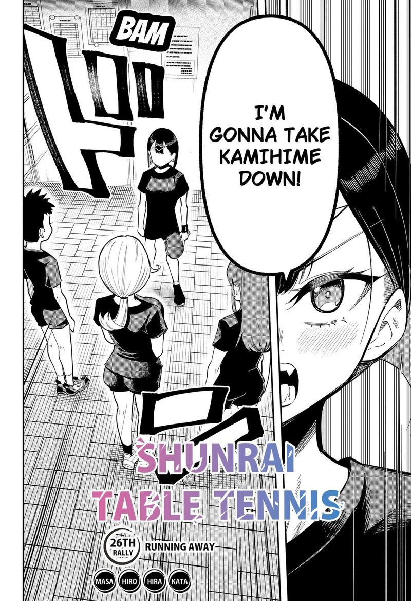 Shunrai Table Tennis 26 2