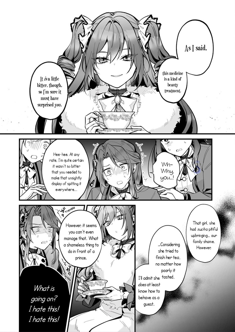 Silent Witch Chinmoku No Majo No Kakushigoto 19a 11