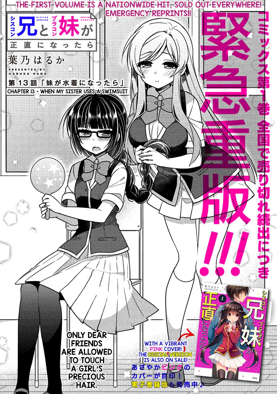 Siscon Ani To Brocon Imouto Ga Shoujiki Ni Nattara 13 2