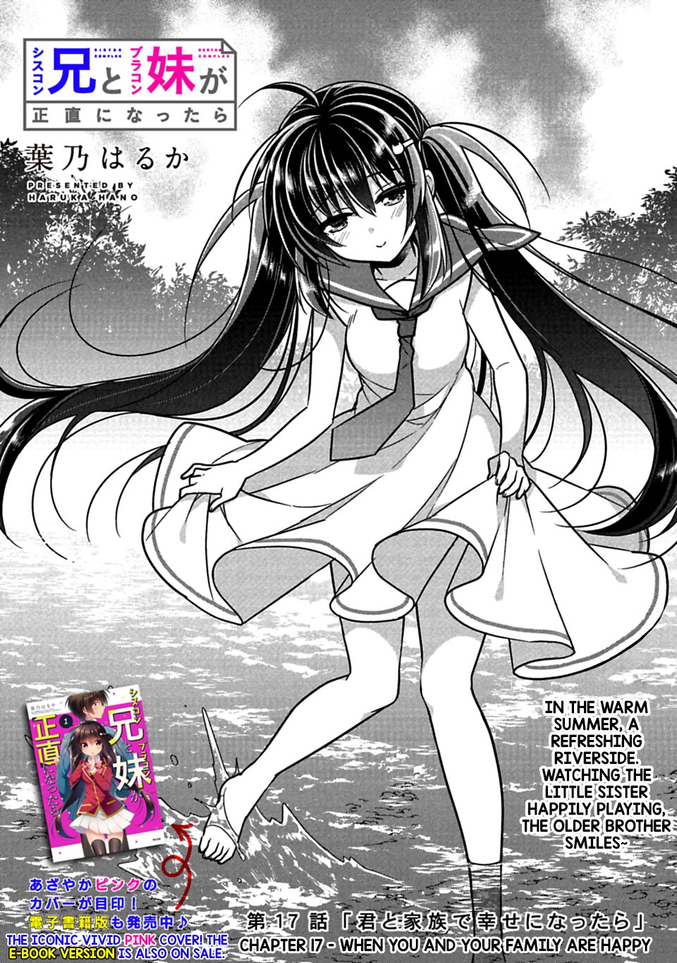 Siscon Ani To Brocon Imouto Ga Shoujiki Ni Nattara 17 2