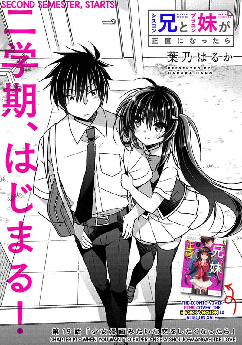 Siscon Ani To Brocon Imouto Ga Shoujiki Ni Nattara 19 2