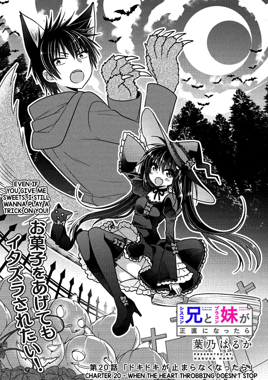 Siscon Ani To Brocon Imouto Ga Shoujiki Ni Nattara 20 2