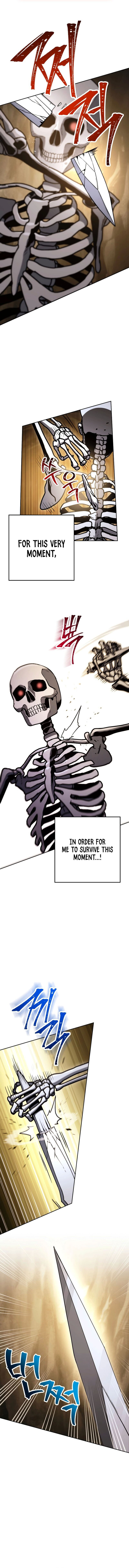 Skeleton Soldier Couldnt Protect The Dungeon 210 6