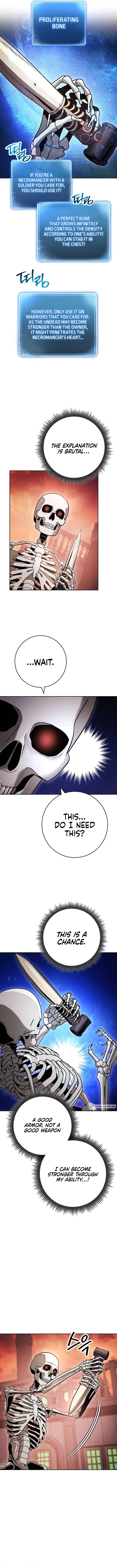 Skeleton Soldier Couldnt Protect The Dungeon 218 10